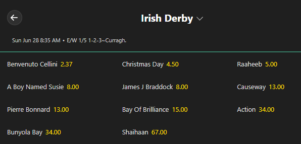 Screenshot of the futures odds for the 2026 Irish Derby from Bet365.