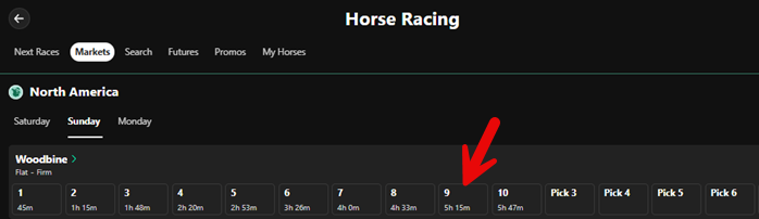 The Breeders' Stakes is race #9 on the Woodbine card.