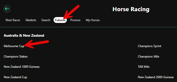 Screenshot showing where to find Melbourne Cup futures betting under the Futures tab on the Bet365 Horse Racing page.